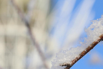В СКО из-за мороза закрыты дороги по всем направлениям 