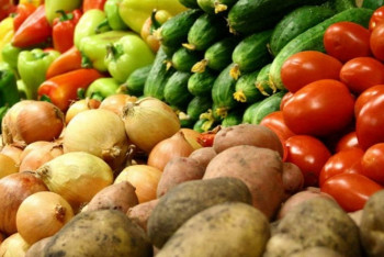 Россия запретила ввоз почти 160 тонн сельхозпродукции из Казахстана