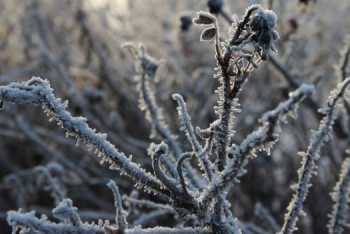 Фотография к новости: Когда в Казахстан придет потепление