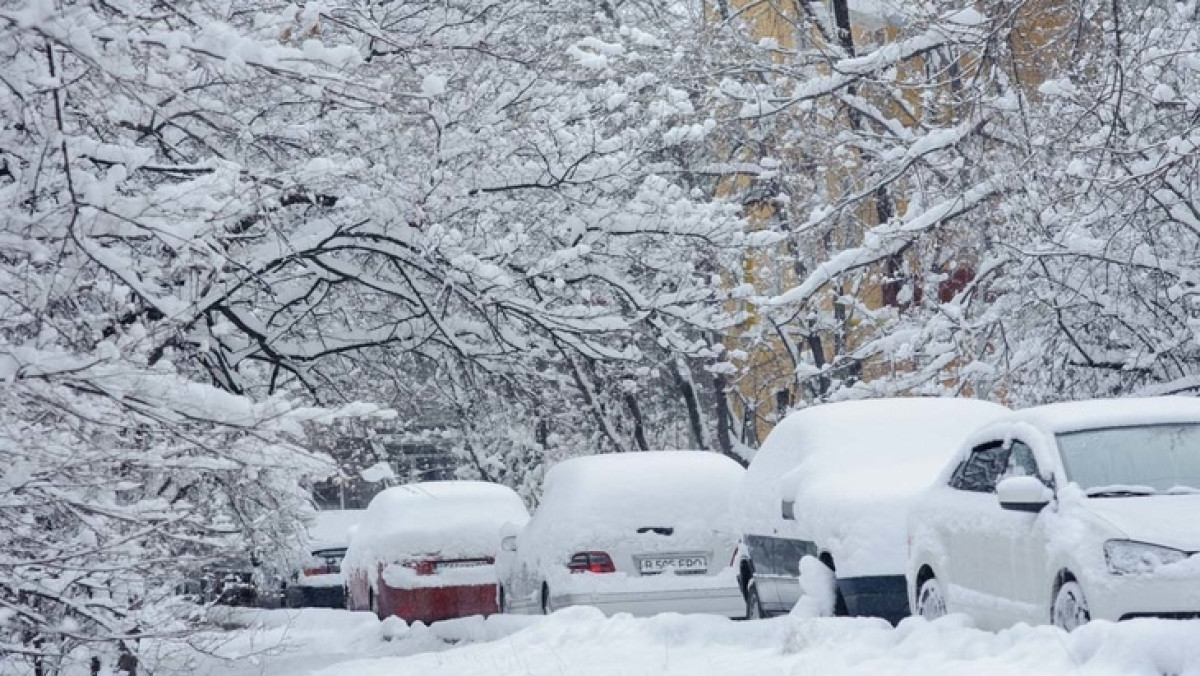 из открытых источников 