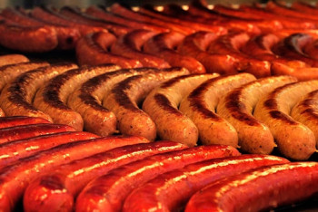 Колбасный завод по поручению Президента построят в Астане уже в 2019 году 