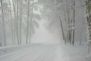 Фотография к новости: Синоптики рассказали о погоде в Казахстане 5 февраля