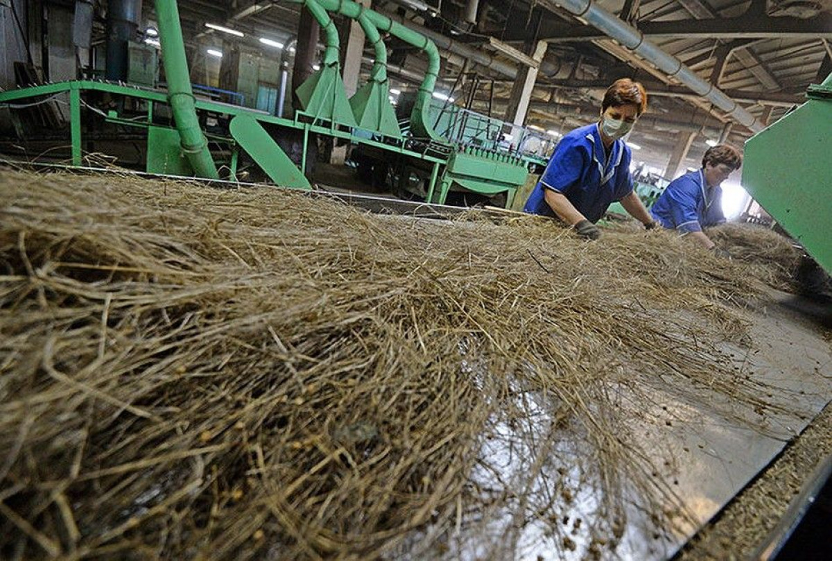 Источник: http://yandex.kz