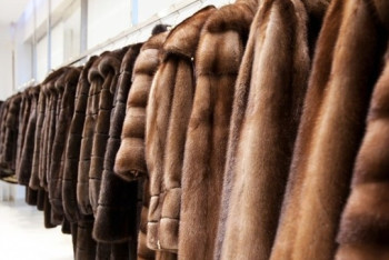 Полицейские Алматинской области раскрыли факт кражи крупной партии меховых шуб