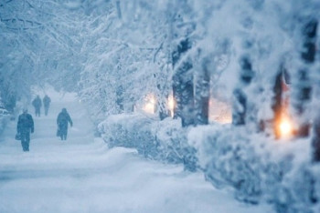 Фотография к новости: Ослабление морозов прогнозируется на большей части Казахстана 
