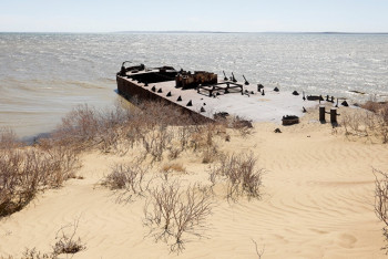 На высохшей части Аральского моря нашли пресную воду