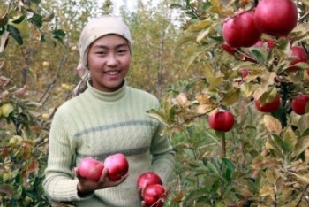Фотография к новости: Немецкий ученый вылечил аллергию с помощью казахстанских яблок