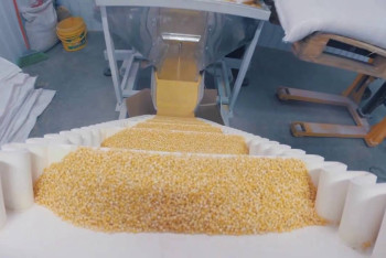 Завод по производству круп начнет работу в феврале в Акмолинской области