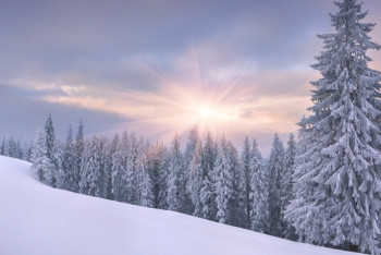 Фотография к новости: Штормовое предупреждение из-за 35-градусных морозов объявлено в шести областях Казахстана 