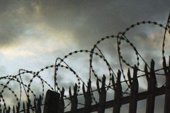 Фотография к новости: Убийцы Дениса Тена будут отбывать наказание в Алматинской области