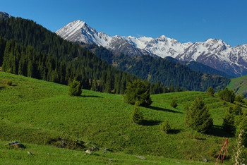 Фотография к новости: Цену за вход в Иле-Алатауский национальный парк снизят почти в два раза 