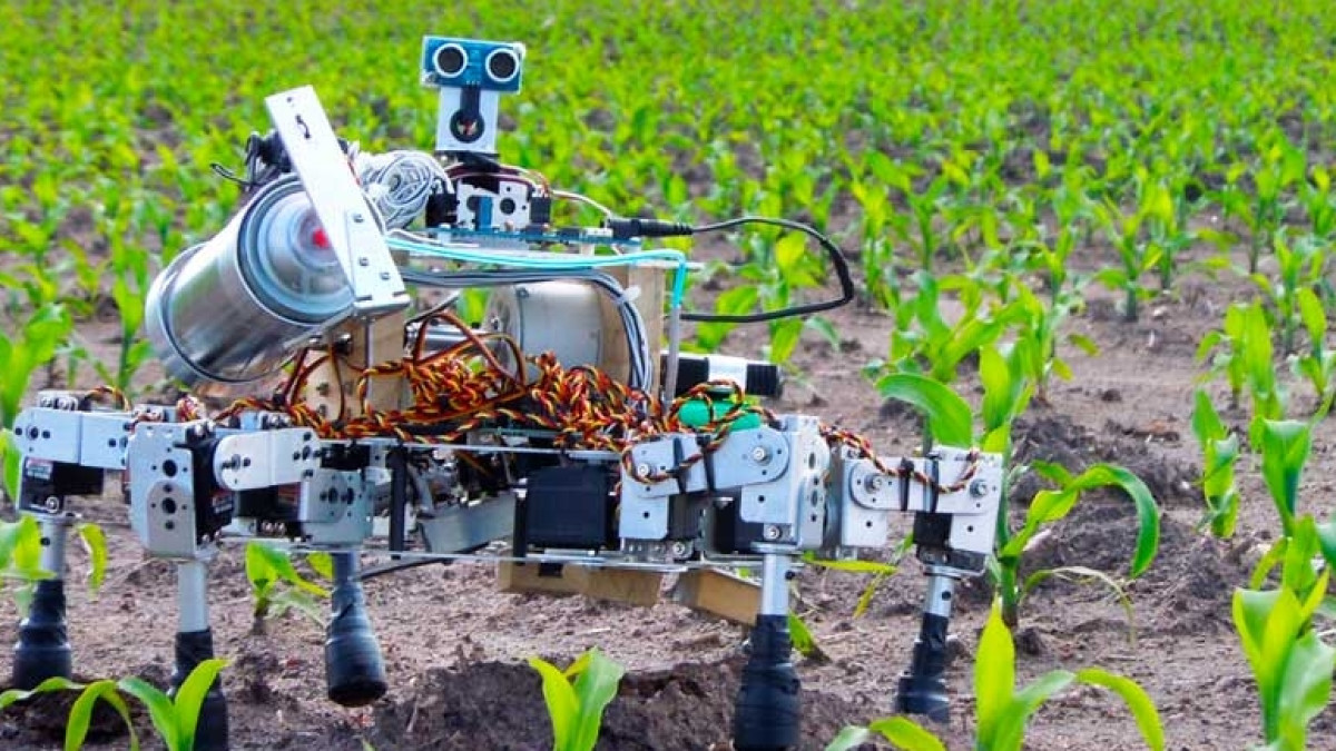 Иллюстративное фото: сельхозпортал.рф