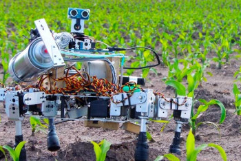 Фотография к новости: Школьники из Экибастуза изобрели экоагроробота, который может кормить животных  