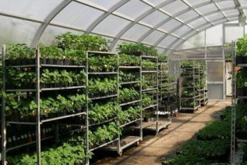 Теплицы пятого поколения появились в Казахстане