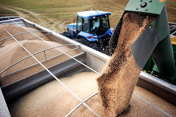 Фотография к новости: Казахстан экспортировал около 430 тысяч тонн зерна в 2018 году