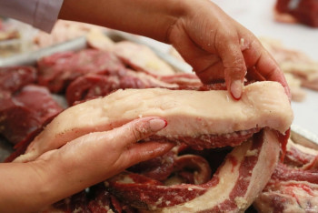 Фотография к новости: Индекс конины будут высчитывать в Казахстане