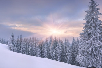 Фотография к новости: Осадки и ветер ожидаются в ряде регионов Казахстана 19 января 