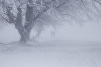 Фотография к новости: Штормовое предупреждение объявлено в трёх регионах Казахстана  