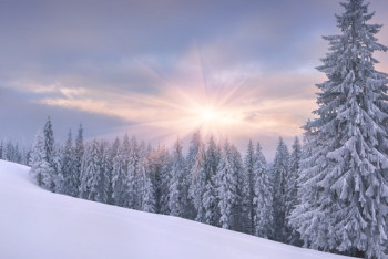 Фотография к новости: Неустойчивый характер погоды ожидается в Казахстане 17 января 