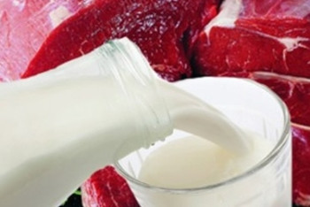 Фотография к новости: Введен временный запрет на ввоз мясных и молочных продуктов из РФ в РК