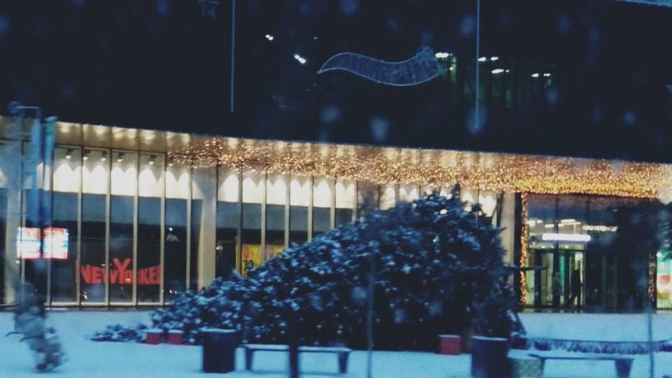 Ураган в Шымкенте повалил елки, столбы и билборды