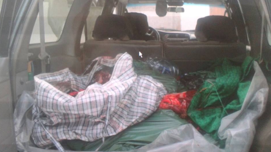 Старшего инспектора «Ертис орманы» накажут за отстрел лося и косули в Павлодаре