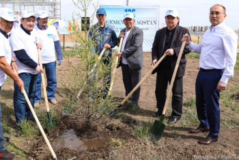 100 саженцев в честь 100-летия "Егемен Қазақстан" посадили в Нур-Султане