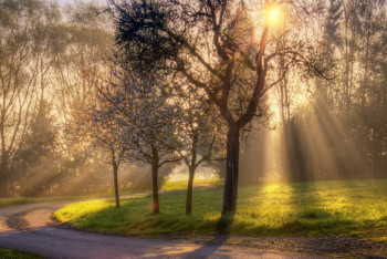 Фотография к новости: Синоптики рассказали о погоде в Казахстане 18 мая
