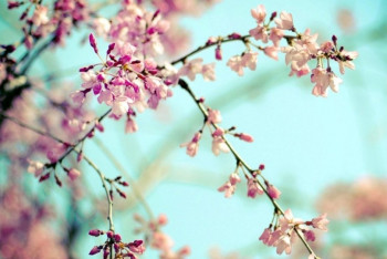 Фотография к новости: В нескольких областях Казахстана ожидается ухудшение погоды