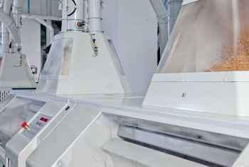 Фотография к новости: 30 мукомольных предприятий Казахстана включили в реестр Китая