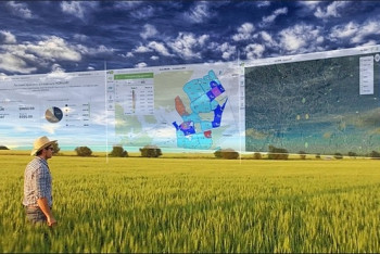 Фотография к новости: Как с помощью цифровизации увеличить урожаи, рассказал Сапархан Омаров