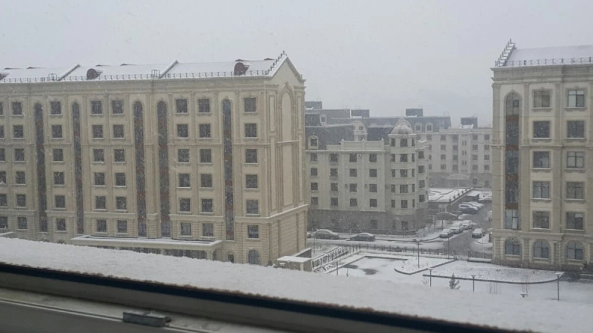 BNews.kz