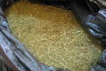 Фотография к новости: Свыше 27 кг марихуаны обнаружено на перроне вокзала Алматы