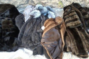 Фотография к новости: Контрабандистка пыталась пронести 70 шуб в Казахстан 