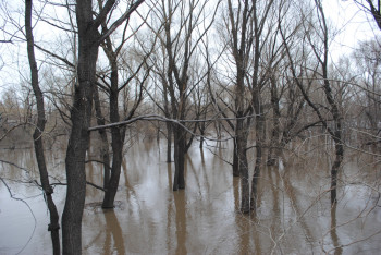 Оценить потенциальную угрозу Иртышских ГЭС предлагают специалисты