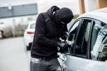 Фотография к новости: Страны СНГ объединятся в борьбе с угоном автомобилей