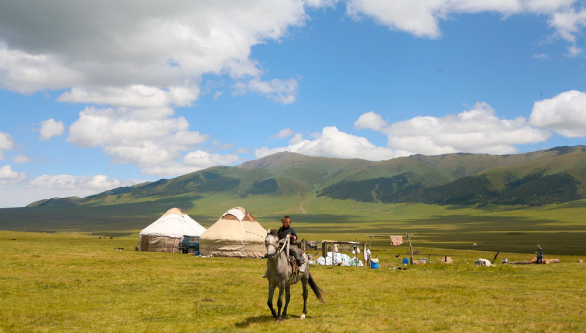 Из открытых источников