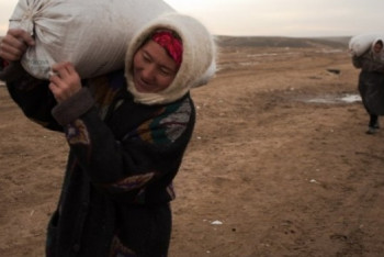 Фотография к новости: За кражу 20 килограммов угля судили жительницу Костанайской области