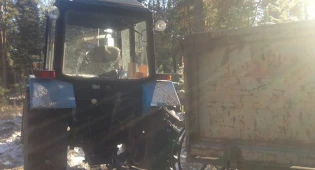 Более чем на 2 млн тенге нанесли ущерб шестеро лесокрадов в Павлодарской области