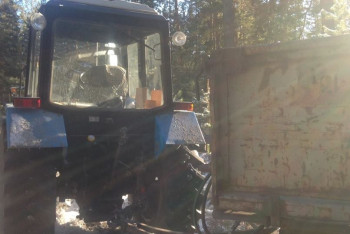 Более чем на 2 млн тенге нанесли ущерб шестеро лесокрадов в Павлодарской области