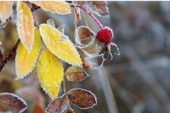 Фотография к новости: Прохладная погода без осадков ожидается в Казахстане на выходных