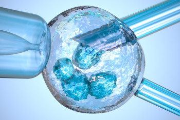 Фотография к новости: 14 тысяч детей благодаря ЭКО родилось в Казахстане