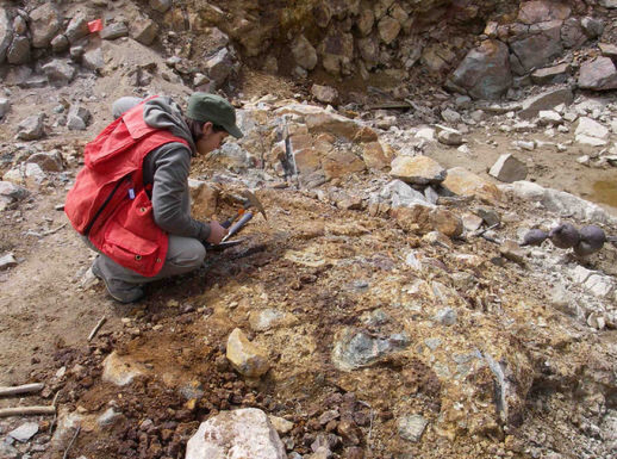 из открытых источников