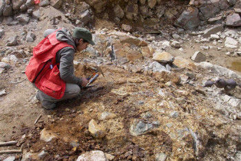 В Казахстане могут быть открыты 15 крупных месторождений - МИР