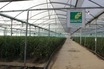 Фотография к новости: Пострадает ли КазАгро от ликвидации Delta банка