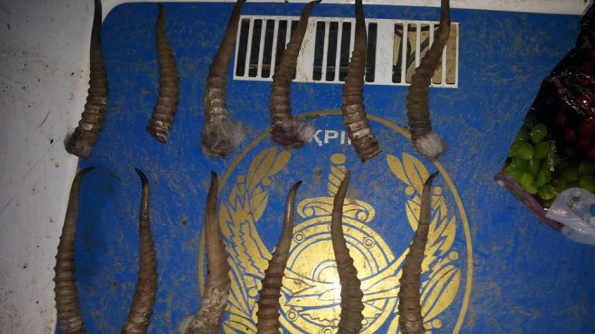 пресс-служба ОВД района