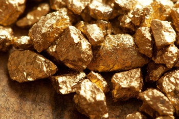 Фотография к новости: Сверток с золотом пыталась вывезти китаянка из Казахстана