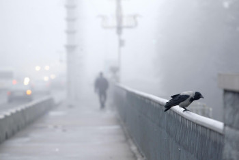 Фотография к новости: Туман, гололед и ветер ожидают казахстанцев в пятницу