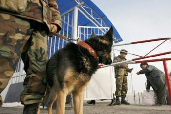 Фотография к новости: Кыргызские перевозчики 360 раз нарушили законодательство РК за 20 дней