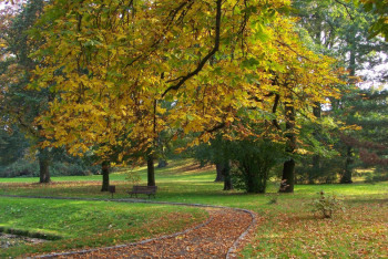 Фотография к новости: Мокрый снег и гололед ожидаются на севере и западе Казахстана